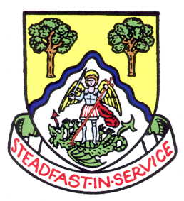 basingstoke and deane bc arms