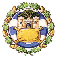 reigate and banstead badge