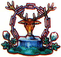 rossendale badge