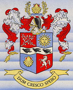 bromley bc arms