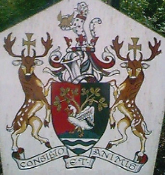south buckinghamshire dc arms